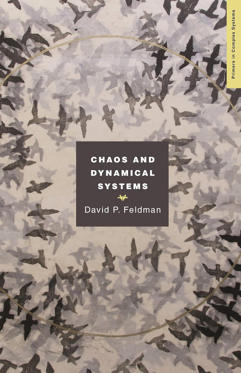 Chaos and Dynamical Systems (Primers in Complex Systems Book 7)