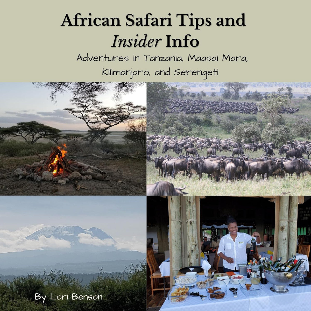 African Safari Tips and Insider Info: Adventures in Tanzania, Maasai Mara, Kilimanjaro, and Serengeti