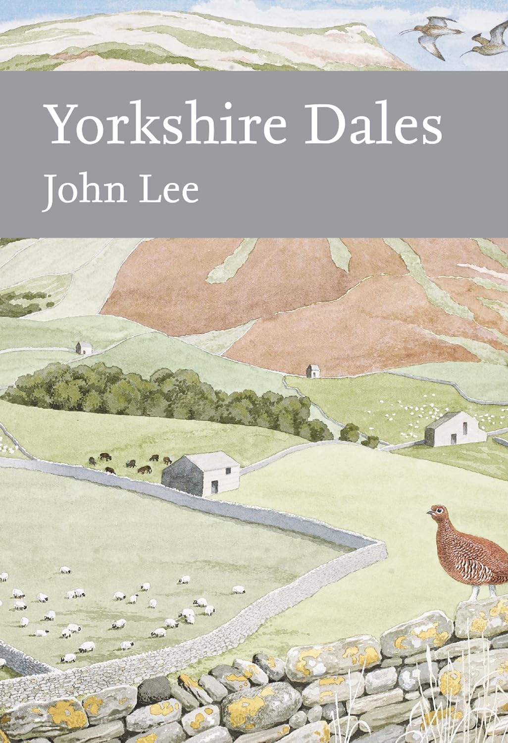 Yorkshire Dales: An Essential Natural History of the Wildlife and Heritage of the National Park (Collins New Naturalist Library Book 130)