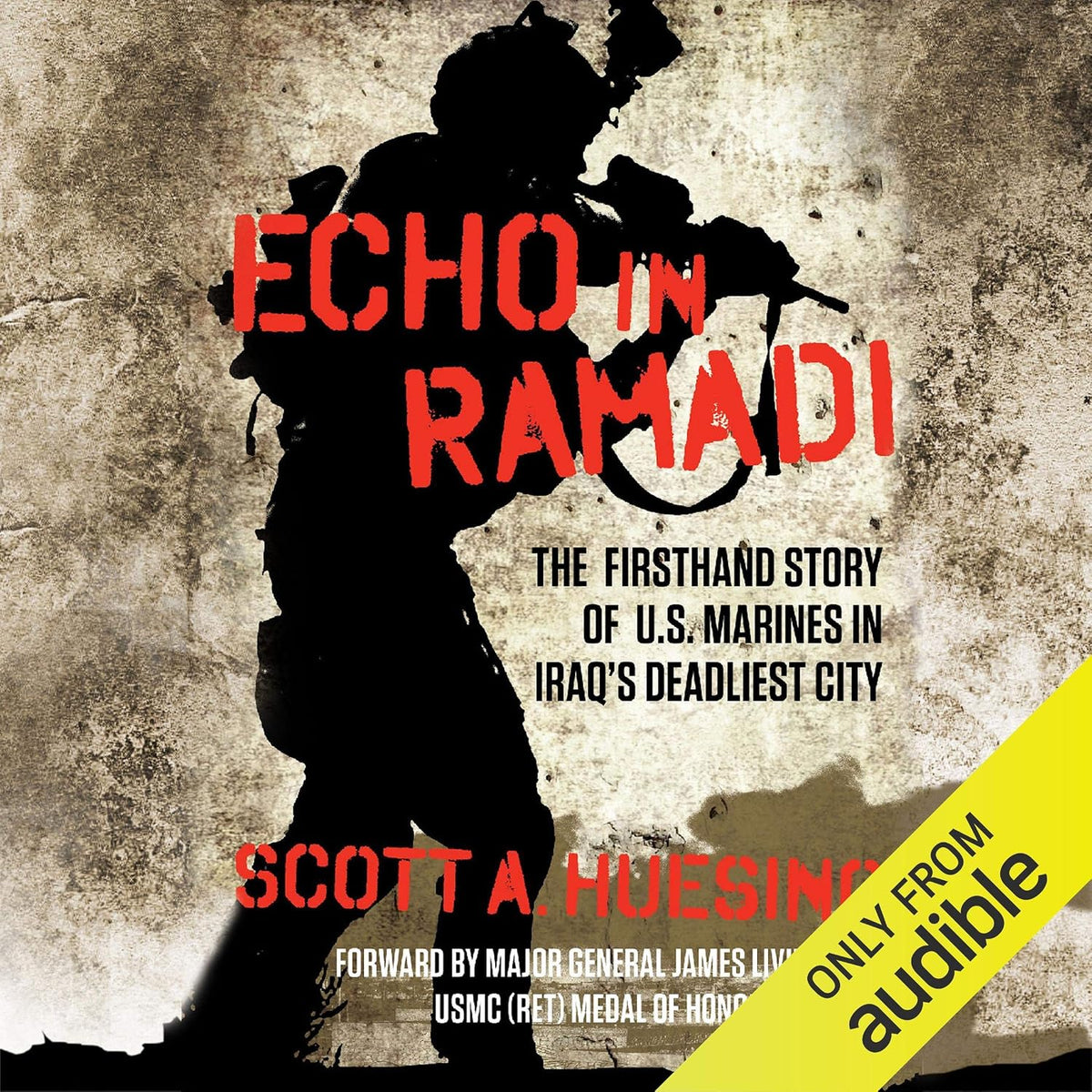 Echo in Ramadi: The Firsthand Story of U.S. Marines in Iraq's Deadliest City