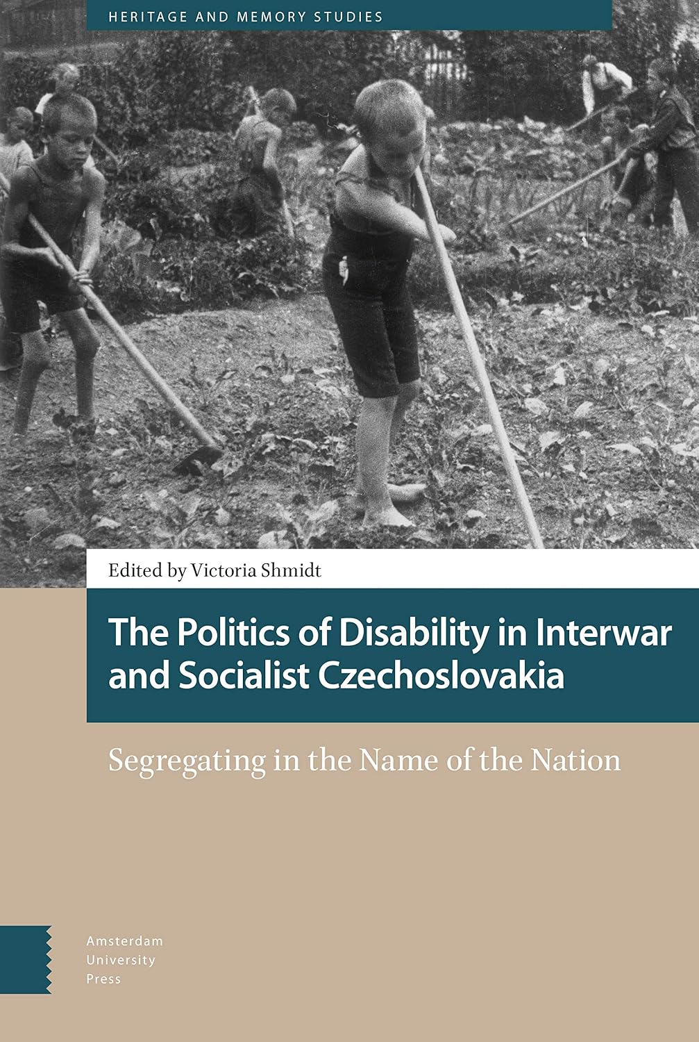 The Politics of Disability in Interwar and Socialist Czechoslovakia (Heritage and Memory Studies)