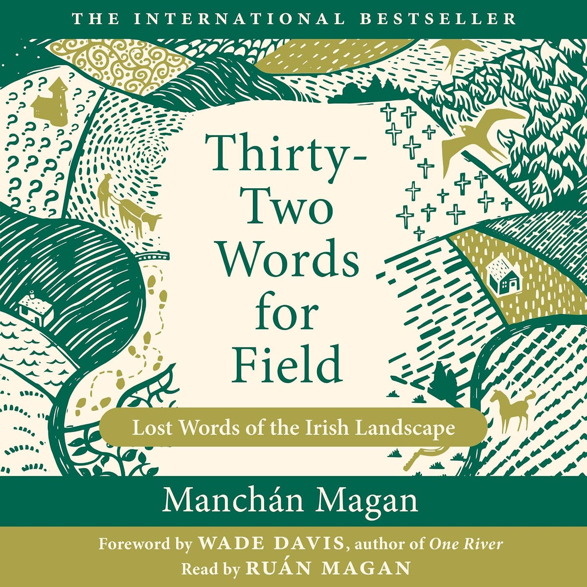 Thirty-Two Words for Field: Lost Words of the Irish Landscape