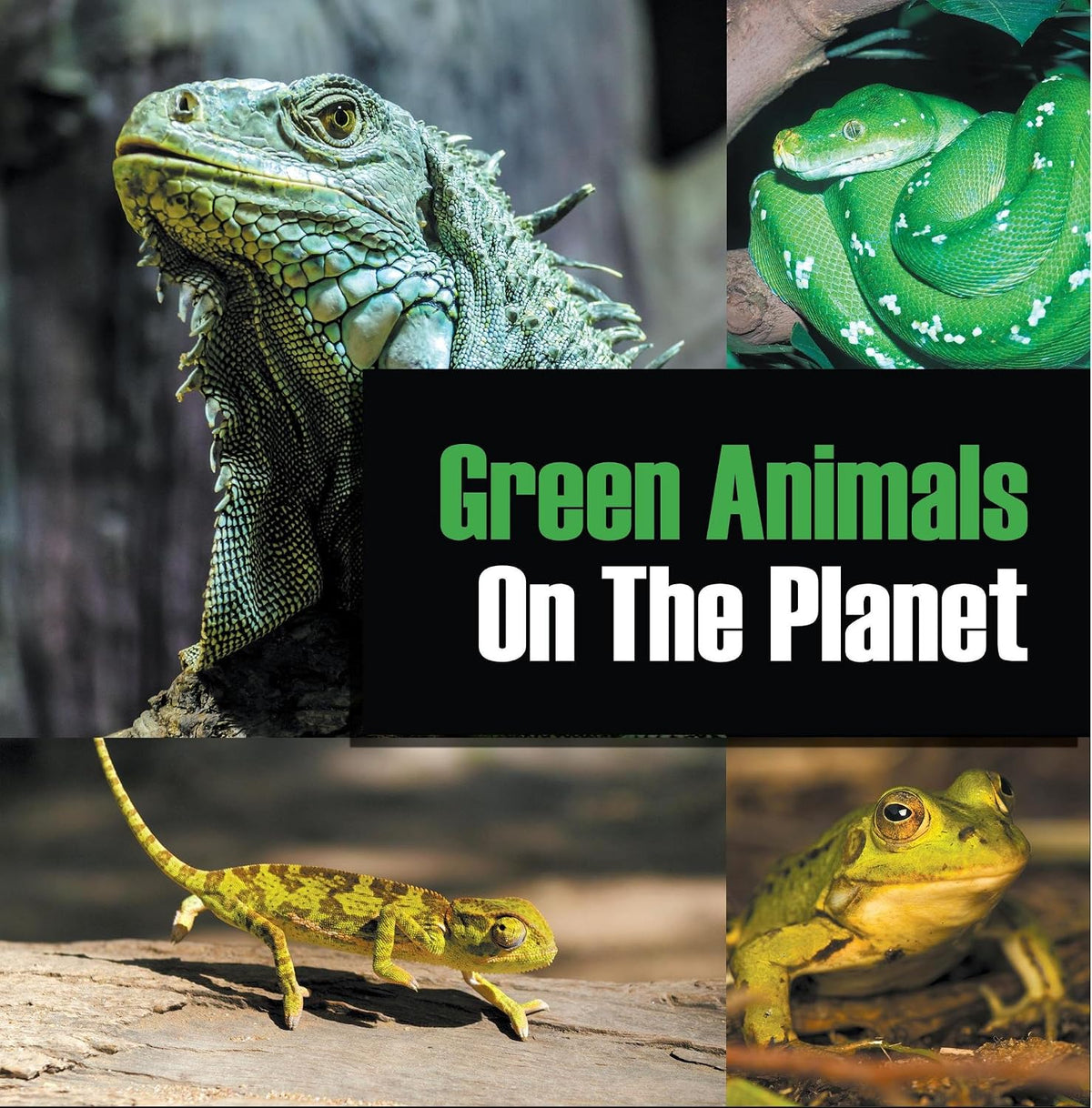 Green Animals On The Planet: Animal Encyclopedia for Kids (Colorful Animals on the Planet Book 2)