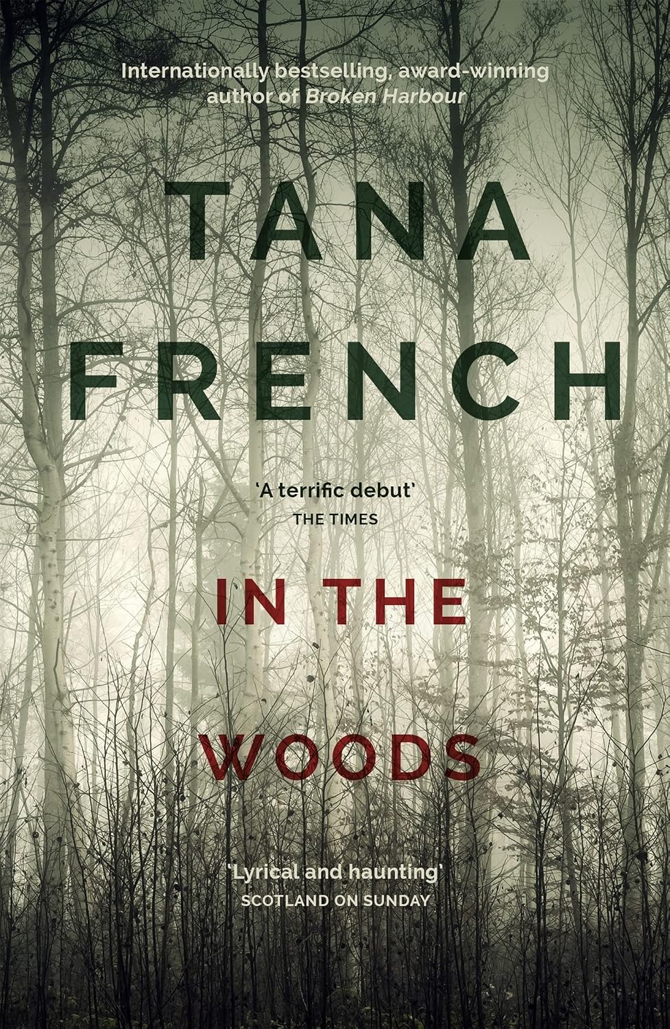 In the Woods: A truly stunning thriller and psychological mystery from one of our greatest living crime writers (Dublin Murder Squad series Book 1) (English Edition)