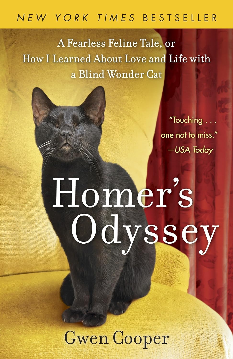 Homer's Odyssey: A Fearless Feline Tale, or How I Learned About Love and Life with a Blind WonderCat