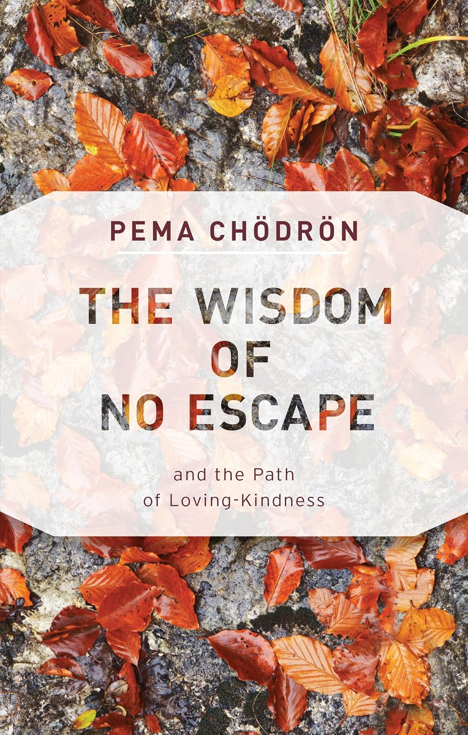 The Wisdom of No Escape: And the Path of Loving Kindness